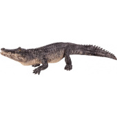 387168_alligator
