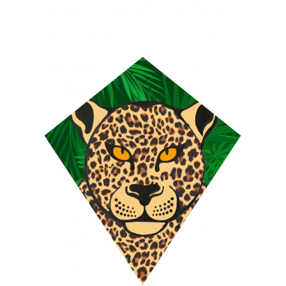 1160_leopard_eddy_2