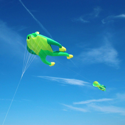 wolkenstuermer_3ddrachen_fritz_the_frog_strand_001